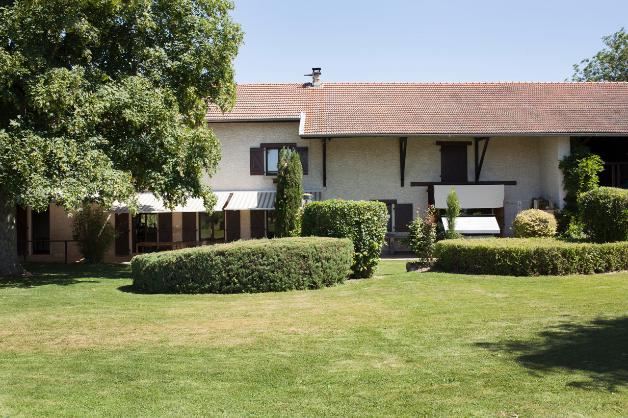 jardin du gite grands arbres au calme de la campagne